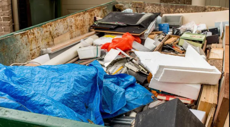 Why Eco-Friendly Junk Removal is a Must for Clearwater&nbsp;Residents